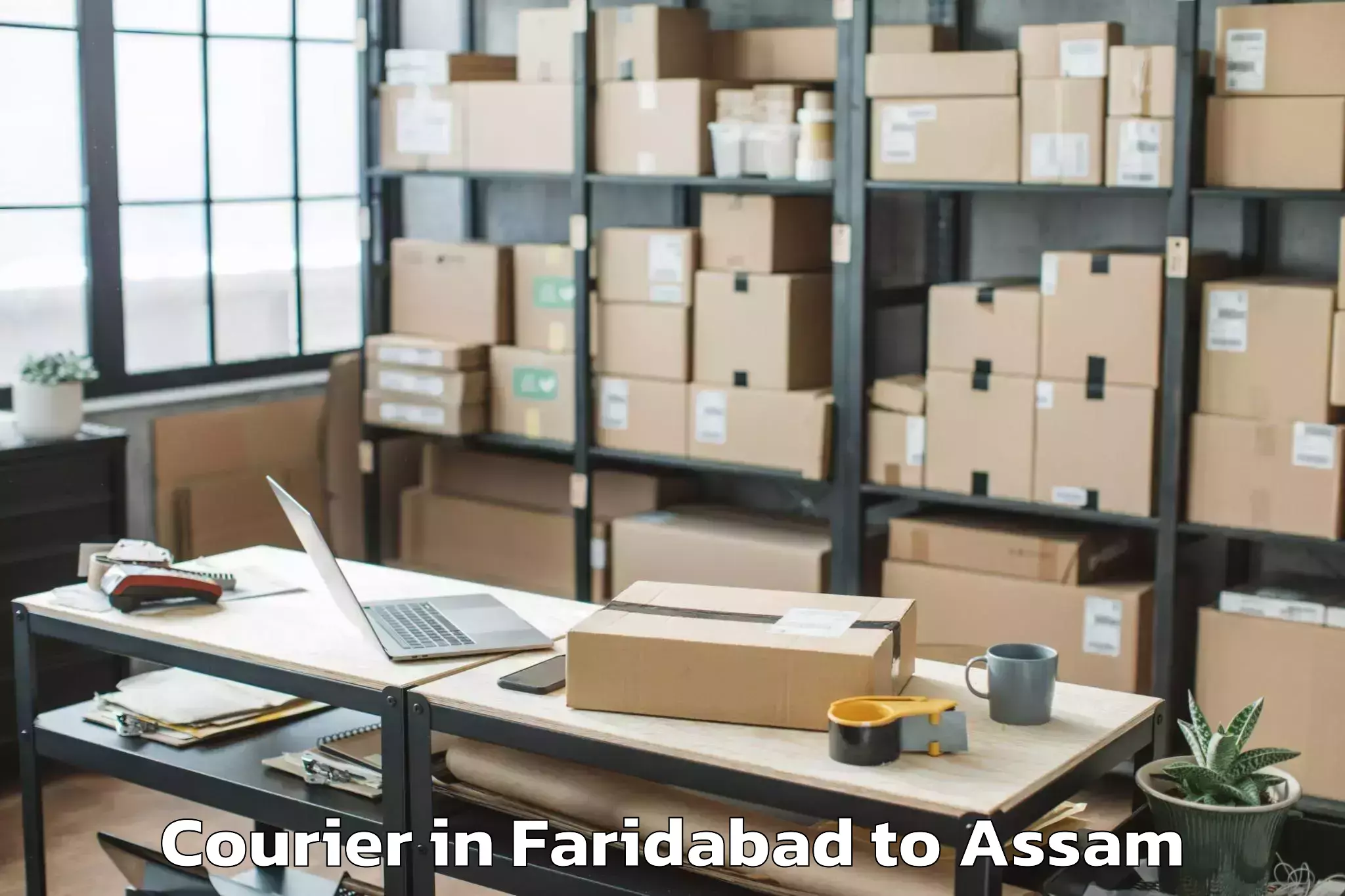 Book Your Faridabad to Naharkatia Courier Today